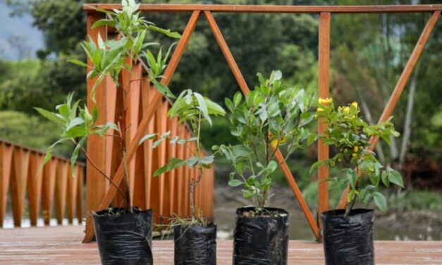 Universidades colombianas se unen a estrategia para fortalecer la economía circular en la cuenca del río Bogotá