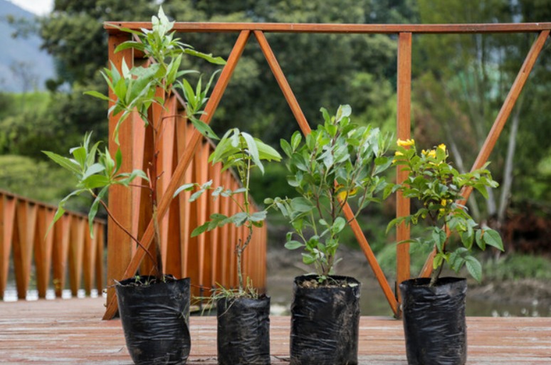 Universidades colombianas se unen a estrategia para fortalecer la economía circular en la cuenca del río Bogotá