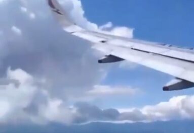 Avión de Avianca aterrizó de emergencia en Cali tras choque con un ave