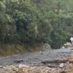 Última hora: Explosión con artefacto improvisado provoca cierre total en la vía Los Llanos – Tarazá