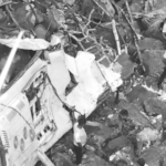 Volvieron al lugar donde todo se detuvo: sobrevivientes del Liceo Antioqueño regresaron al sitio del accidente