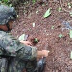 Ejército destruye siete minas antipersonal en zona rural de Anorí, Antioquia