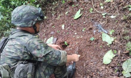 Ejército destruye siete minas antipersonal en zona rural de Anorí, Antioquia
