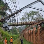 Restablecen servicio de energía en sector Alto de Las Palmas tras caída de árboles durante el fuerte torrencial