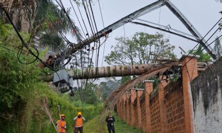 Restablecen servicio de energía en sector Alto de Las Palmas tras caída de árboles durante el fuerte torrencial