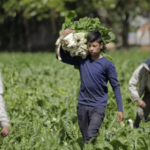 MinAgricultura lanza fondo de $32.000 millones