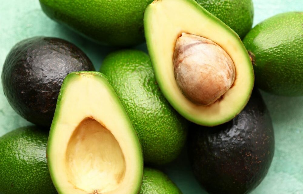 Exportaciones de aguacate crecieron un 21,3% durante 2025