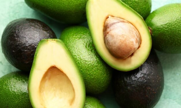 Exportaciones de aguacate crecieron un 21,3% durante 2025