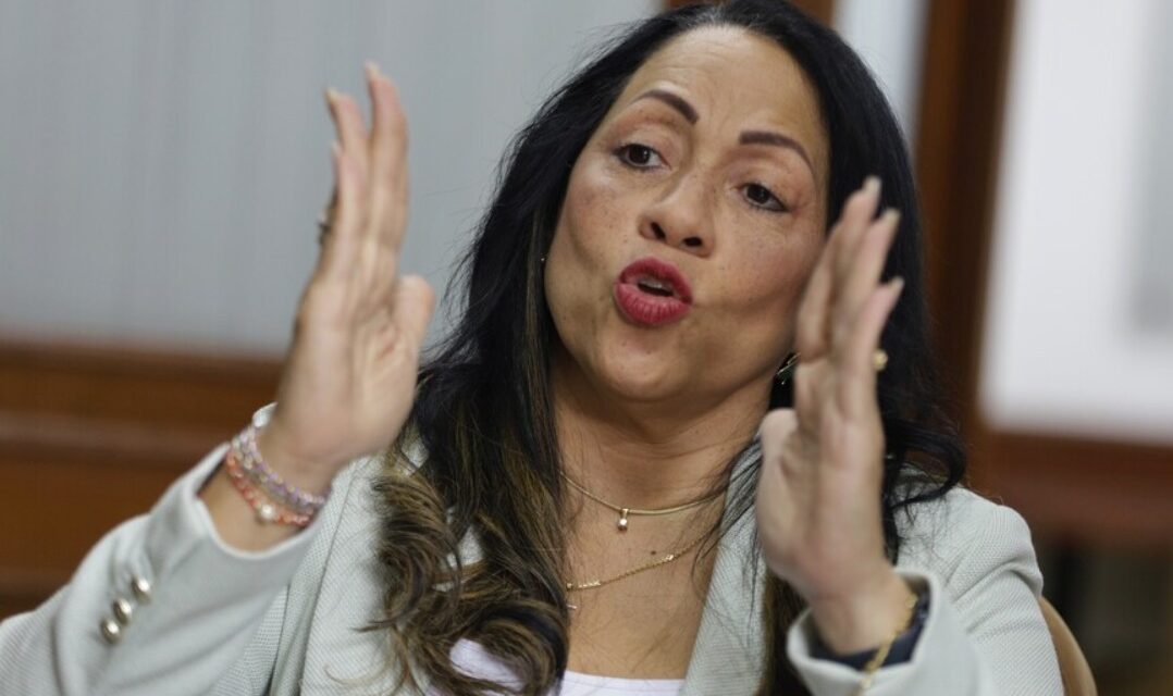 CNE deja por fuera a Marelen Castillo de la lista del Centro Democrático al Senado