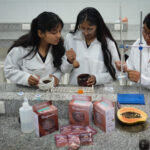 Estudiantes bolivianas avanzan en anticonceptivo masculino reversible a partir de papaya