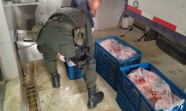 Encuentran 1,8 toneladas de carne tiradas en un potrero de Donmatías