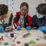 Clubes de Ciencia Colombia 2026 llegará a nueve departamentos con formación científica para estudiantes rurales