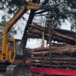 ¡Golpe a la ilegalidad forestal! Corantioquia decomisó más de 37 metros cúbicos de madera