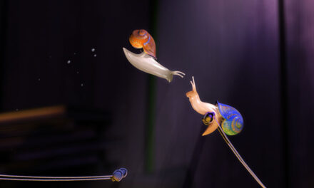 Crea Digital 2026 impulsará la economía creativa en Colombia con inversión, formación y fortalecimiento empresarial