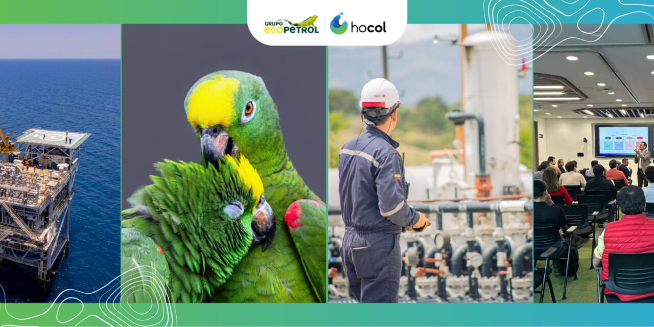 Hocol rechaza señalamientos de exdirectivo y asegura que denunció hechos ante autoridades