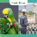 Hocol rechaza señalamientos de exdirectivo y asegura que denunció hechos ante autoridades