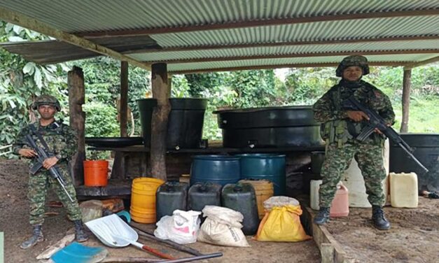 Ejército destruye 35 laboratorios de pasta base de coca en Putumayo y captura a cinco presuntos integrantes de grupos criminales