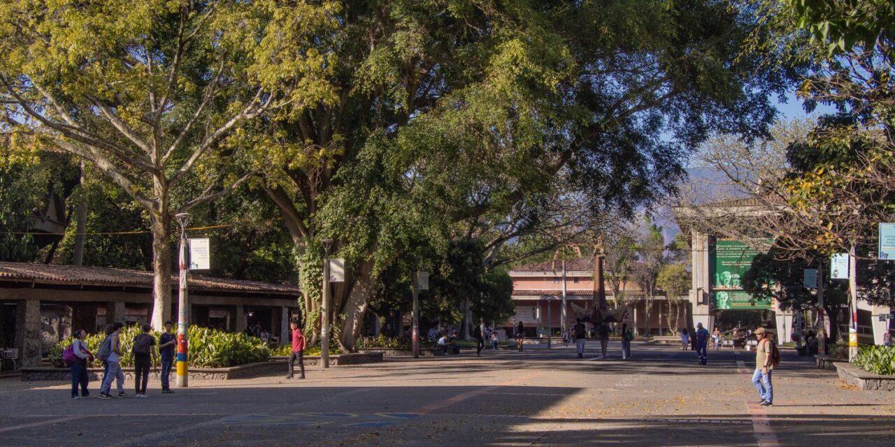 Universidad de Antioquia presenta plan de mejoramiento tras hallazgos administrativos del Ministerio de Educación