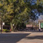 Universidad de Antioquia presenta plan de mejoramiento tras hallazgos administrativos del Ministerio de Educación