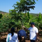Campesinos de Bolívar transforman tierras degradadas