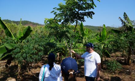 Campesinos de Bolívar transforman tierras degradadas
