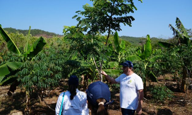 Campesinos de Bolívar transforman tierras degradadas