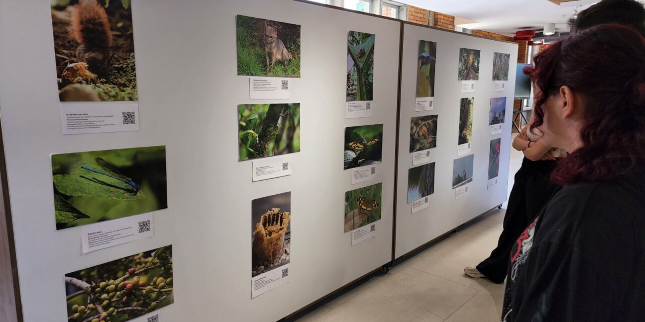 La Universidad de Medellín invita a redescubrir su biodiversidad con exposición fotográfica