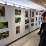 La Universidad de Medellín invita a redescubrir su biodiversidad con exposición fotográfica