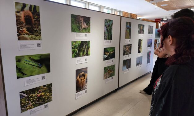 La Universidad de Medellín invita a redescubrir su biodiversidad con exposición fotográfica