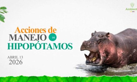 Gobierno define nuevas medidas para controlar población de hipopótamos en Colombia