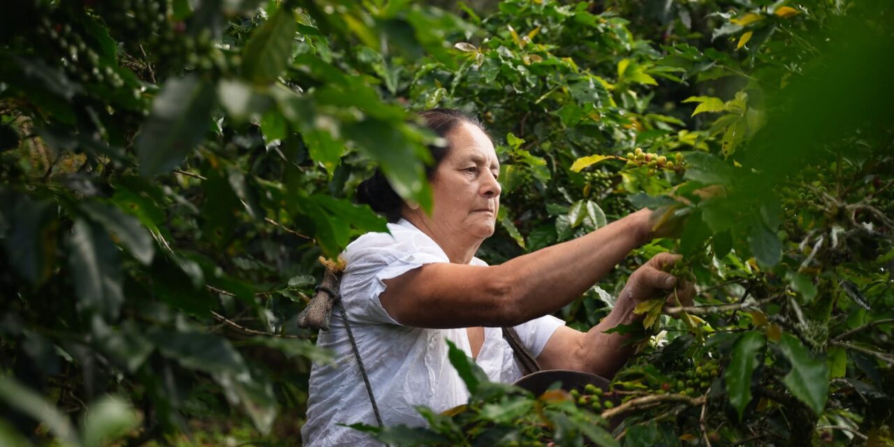 Lanzan programa para reducir pérdidas y costos en el agro por resistencia de plagas