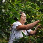 Lanzan programa para reducir pérdidas y costos en el agro por resistencia de plagas