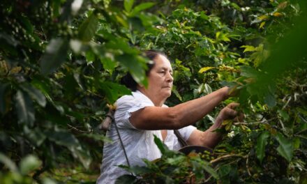 Lanzan programa para reducir pérdidas y costos en el agro por resistencia de plagas