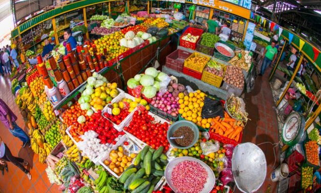 Universidad de Medellín impulsa aprovechamiento de residuos agroindustriales para nuevos modelos productivos