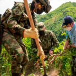Policía reporta más de 2.200 hectáreas de coca erradicadas en lo que va de 2026