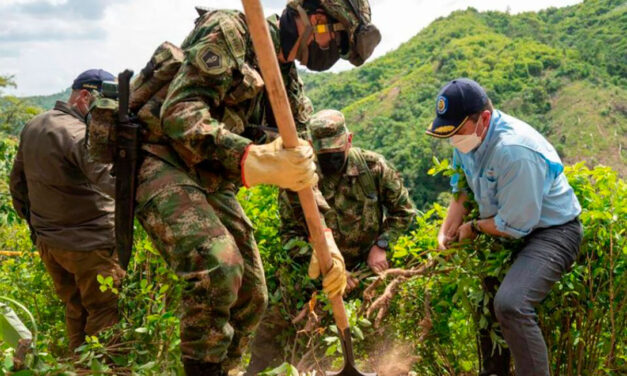Policía reporta más de 2.200 hectáreas de coca erradicadas en lo que va de 2026