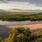 Una de cada tres gotas que alimenta el río Magdalena proviene de la Amazonia y la Orinoquia