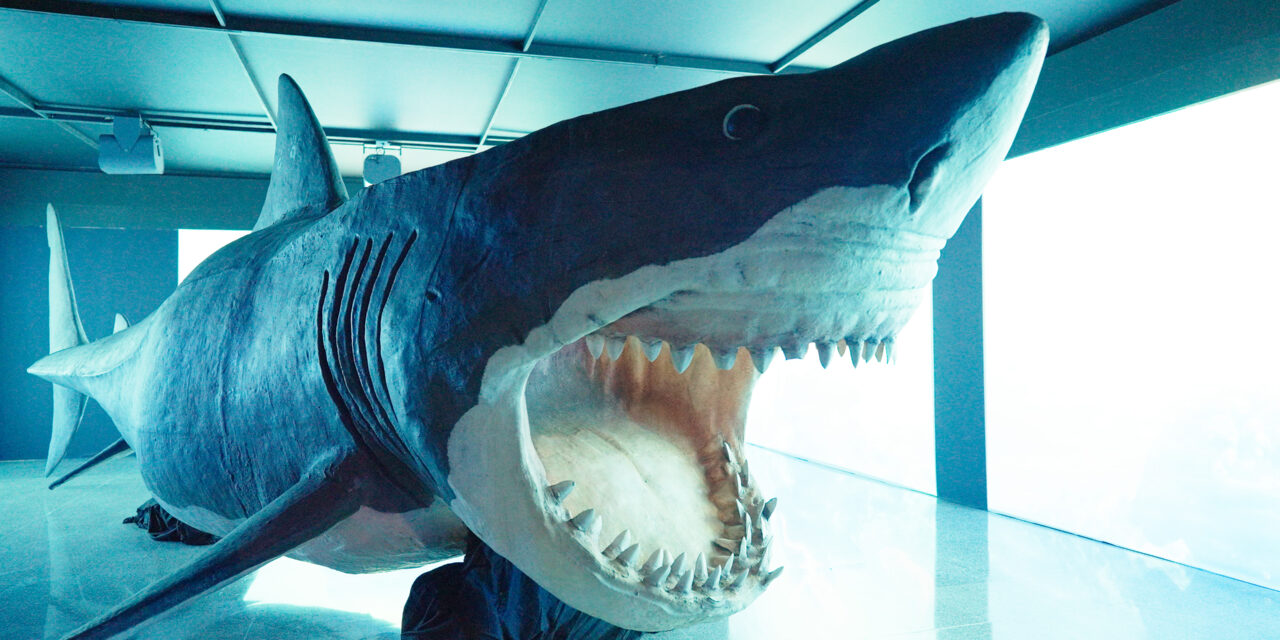 Exposición sobre tiburones y conservación marina llega a Medellín con esculturas monumentales e instalaciones inmersivas