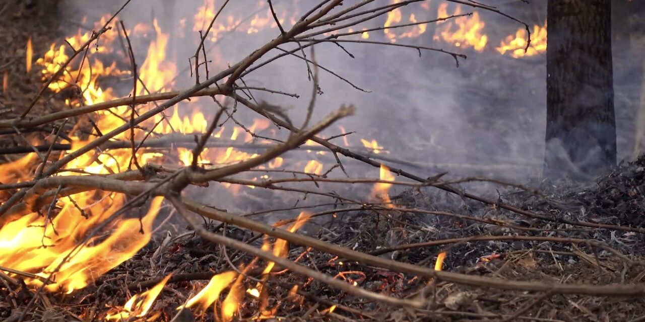 Alertan por riesgo de incendios y aumento de temperaturas en Antioquia ante posible fenómeno de El Niño