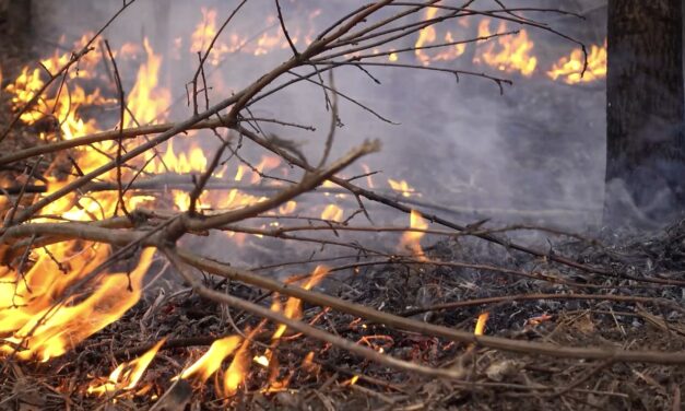 Alertan por riesgo de incendios y aumento de temperaturas en Antioquia ante posible fenómeno de El Niño