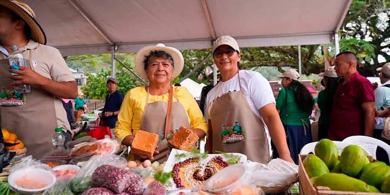 Café cultivado por mujeres de Planadas llega a China y Canadá con respaldo del Gobierno colombiano