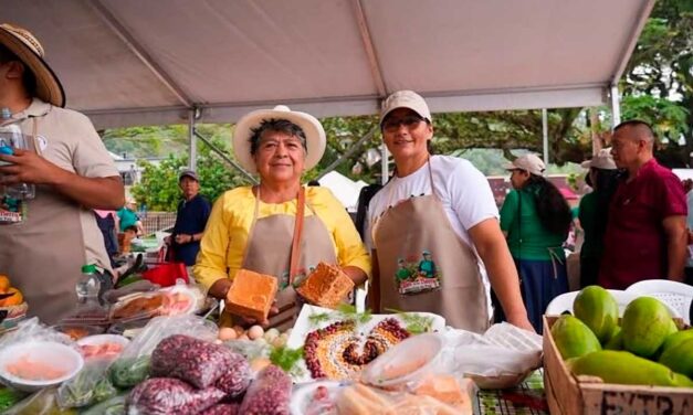 Café cultivado por mujeres de Planadas llega a China y Canadá con respaldo del Gobierno colombiano