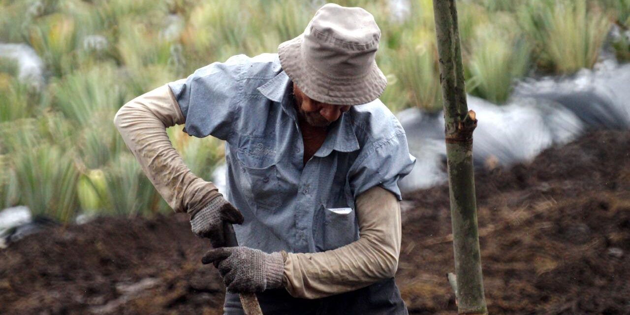 Gobierno Petro impulsa Jurisdicción Agraria en Colombia