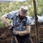 Gobierno Petro impulsa Jurisdicción Agraria en Colombia