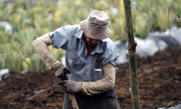 Gobierno Petro impulsa Jurisdicción Agraria en Colombia