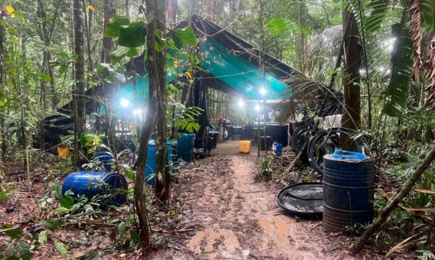 Ejército y Policía destruyen gigantesco complejo para producción de cocaína en Guaviare