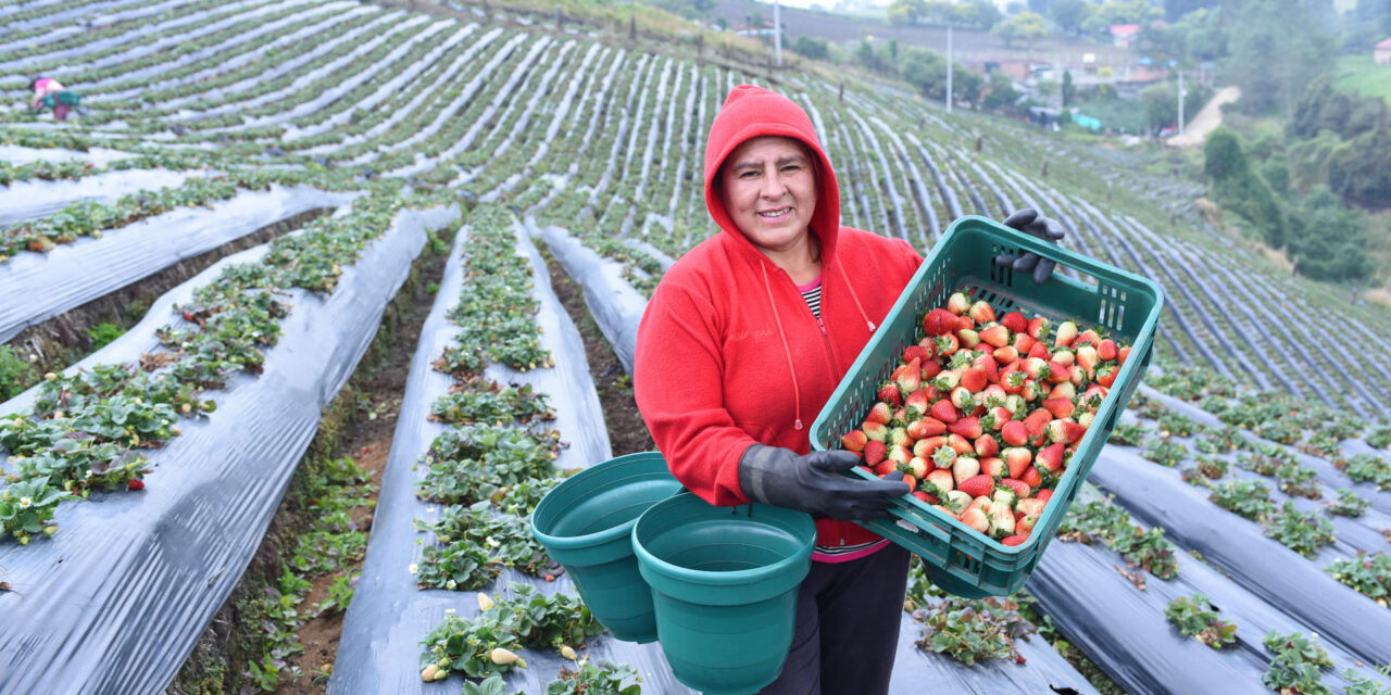 Agricultores y ganaderos necesitan mayor protección ante los efectos del cambio climático