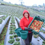 Agricultores y ganaderos necesitan mayor protección ante los efectos del cambio climático