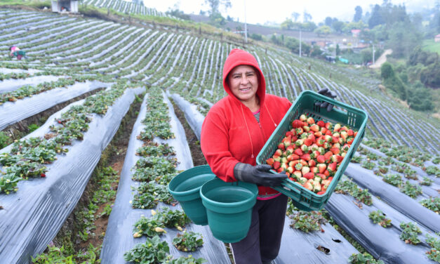 Agricultores y ganaderos necesitan mayor protección ante los efectos del cambio climático