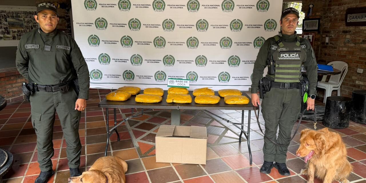 Caninos de la Policía detectan 20 kilos de cocaína ocultos en una encomienda enviada a Medellín